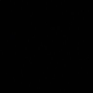 Meet your Posher, Ella